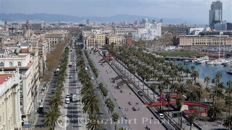 Aidacosma Mediterranean From Mallorca Or Barcelona