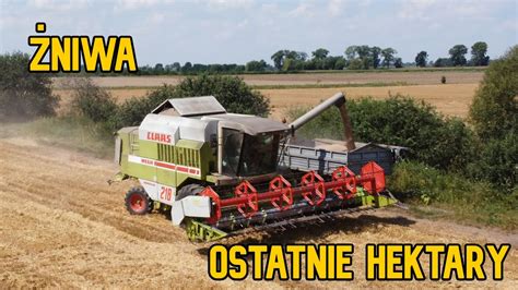 Mega żniwa 2020 Claas mega 218 vs ostatnie hektaryOwies i