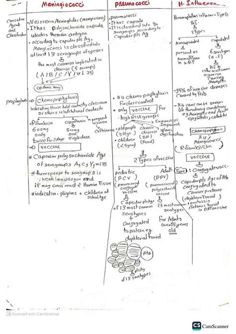 Solution Cns Micro Studypool