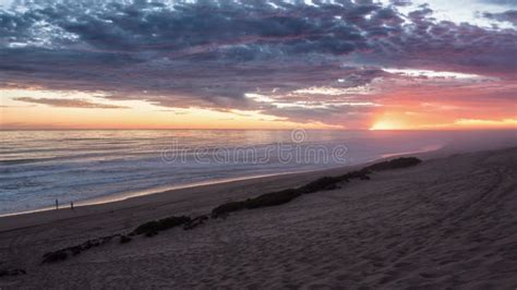 Beautiful Colors Of Sunrise Over Rocky Ocean Coast In New Zealand Wild