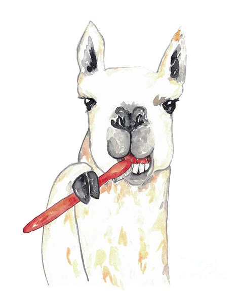 Llama Brushing Teeth Bath Watercolor Painting By Maryna Salagub Fine