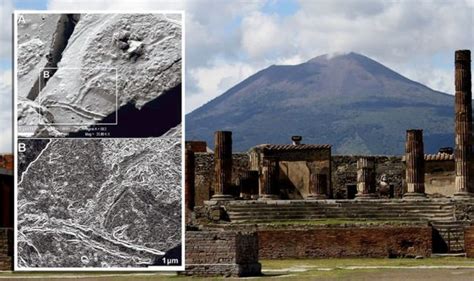 Archaeology News Brain Cells Found In 2000 Year Mt Vesuvius Eruption