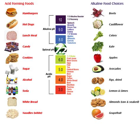 Alkaline Foods VS Acid Forming Foods - Nourishing Plot