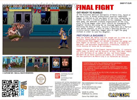 Final Fight Nintendo SNES Artwork Box Back