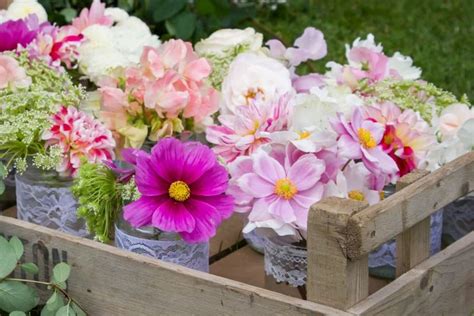 Grow Your Own Wedding Flowers