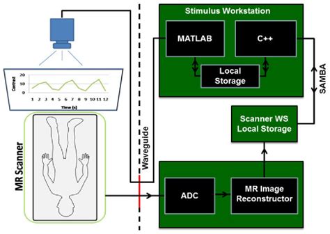 Figure From A Real Time Functional Magnetic Resonance Imaging Fmri