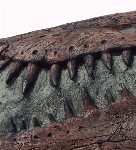 Spinosaurus Skull Plaque cast replica Dinosaur – BigfootCasts.com