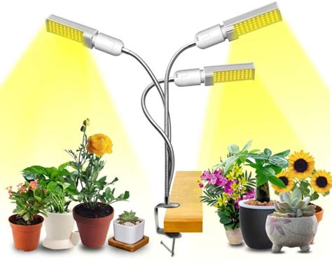 La Meilleure Lampe De Croissance Pour Plantes Au Canada En