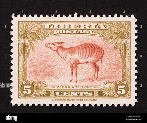 Postage Stamp From Liberia Depicting A Zebra Antelope Stock Photo Alamy