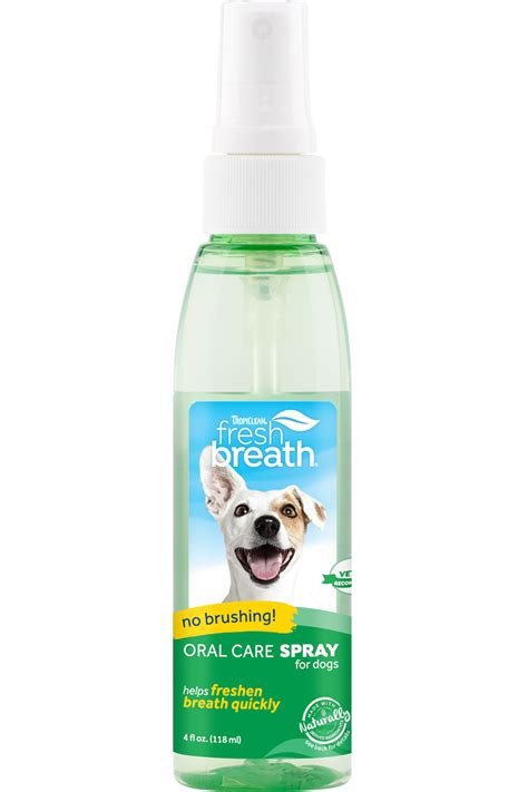 Fresh Breath Oral Care Spray Vanilla Mint