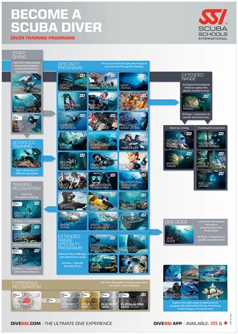 Ssi Diver Path Poster En Scuba Divers Scuba Divers