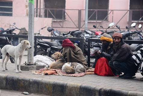 Winter Horror: Homeless people sit along a roadside on a cold winter day - TheDailyGuardian