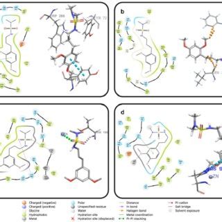 2D and 3D ligand-receptor interaction profile of best-posed ligands... | Download Scientific Diagram