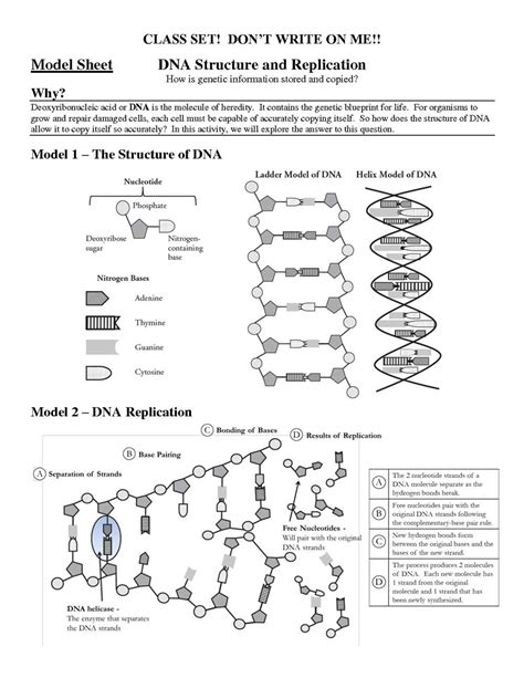 Mastering Biology Unlocking The Answers In The Milestone Review Packet