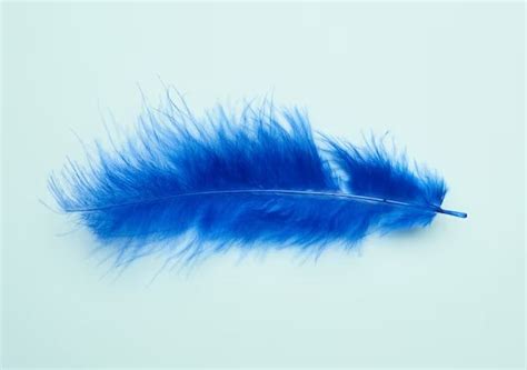 What Does A Light Blue Feather Mean