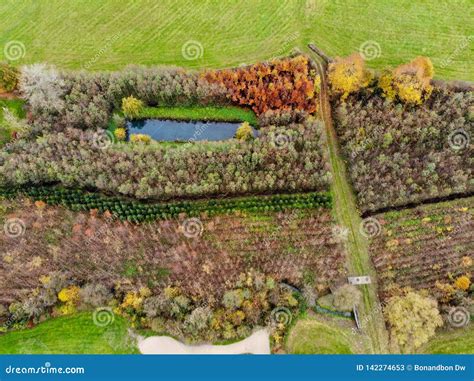 Aerial View of a Golf Course. Stock Image - Image of hobbies, landscape ...