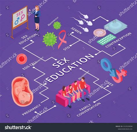 Sex Education Isometric Flowchart Contraception Pregnancy Stock Vector