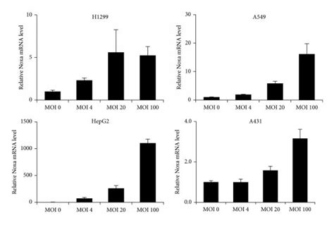 Reovirus Mediated Induction Of Ifn And Noxa In Tumor Cells A B