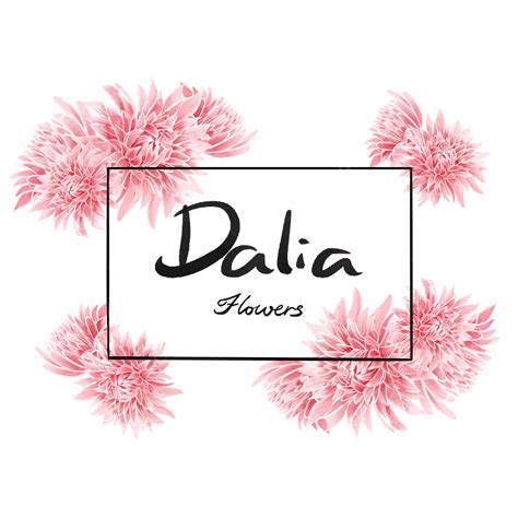 Frontera De Dalia Rosa Png Dalia Marco Frontera De La Dalia Png Y Psd Para Descargar Gratis