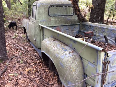 1955 Dodge Dodge Trucks Abandoned Cars Dodge