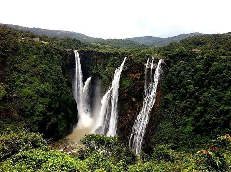 10 Most Dangerous Forests In The World WorldAtlas