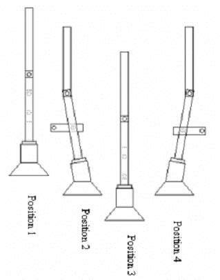 legs position   movements  scientific diagram