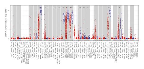 Lrrc Expression Levels In Different Types Of Human Cancers A