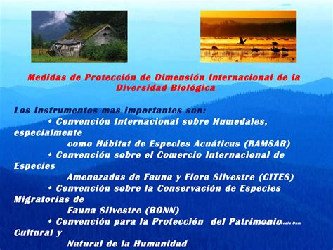 La Biodiversidad Y Su Importancia Para El Planeta Ppt