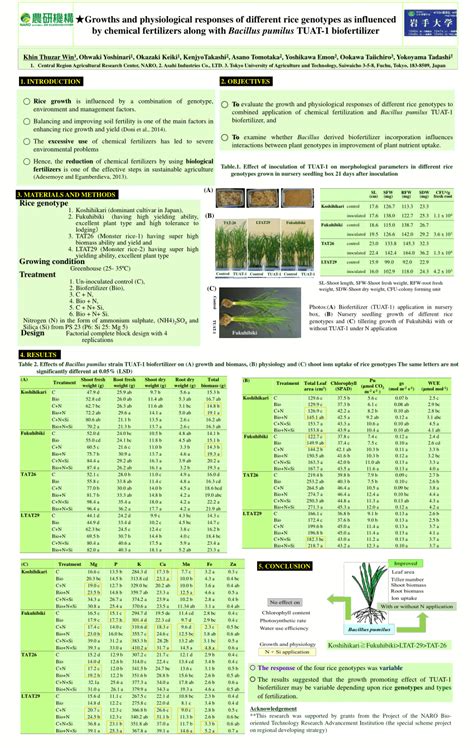 Pdf Growths And Physiological Responses Of Different Rice Genotypes