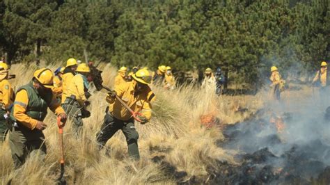 De Enero A Abril Se Han Combatido 592 Incendios Forestales En CDMX El