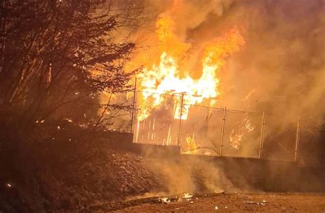 UPDATE FOTO Incendiu la Alba Iulia în zona Parcului dendrologic O