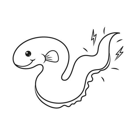 electric eel clipart