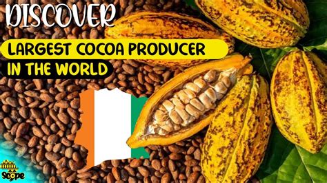 Discover Ivory Coast Largest Cocoa Producer In The World Youtube