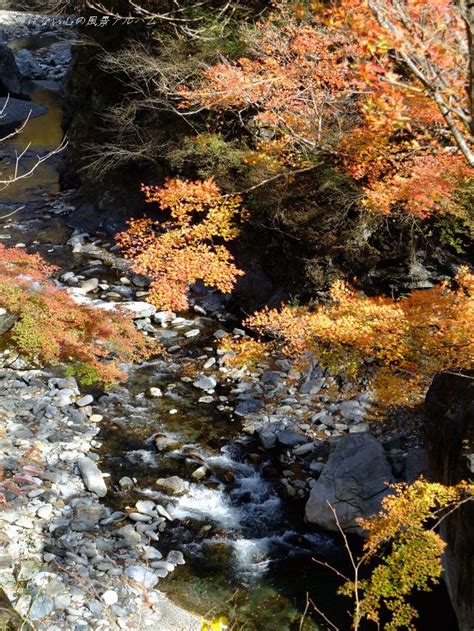 秩父市 中津川・中津峡の紅葉part1 2011年11月 インフォメーション