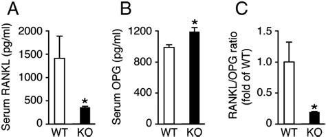 Serum Rankl And Opg Levels In Wild Type Wt And Tr Deficient Ko Mice