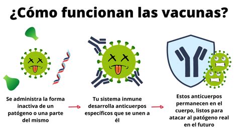 Vacunas En El Centro De Atención Science In School