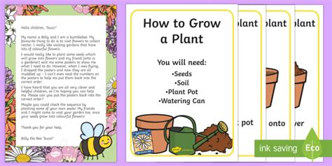 From Seed To Plant Activities