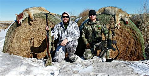 Coyote Hunting In Wisconsin Expert Tips And Strategies