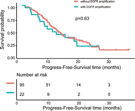 Progress Free Survival Curves Of Patients With EGFR Amplification And