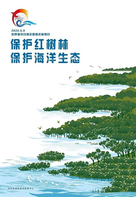 世界海洋日｜这片蔚蓝，被沪上高校的科研团队深爱并守护着