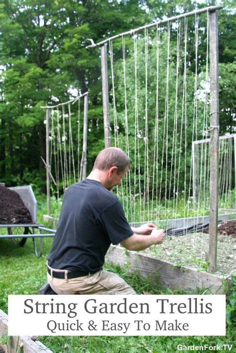 23 Functional Cucumber Trellis Ideas Guaranteed To Boost Your Harvest