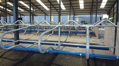 Adjustable Cantilever Cubicle Cow Cubicles