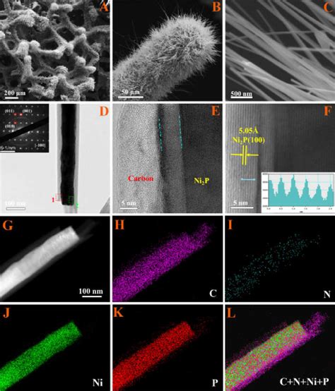 Sem A C And Tem D F Images Of Ni P Nc At Different Magnifications