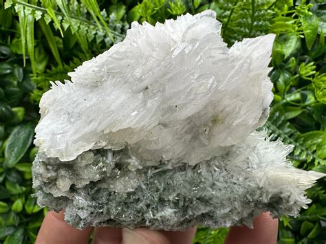 Stunning Fluorescent Calcite On Needle Quartz Inclusions Chlorite