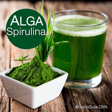 Super Razones Para Consumir Spirulina Org Nico Dxn Salud Y