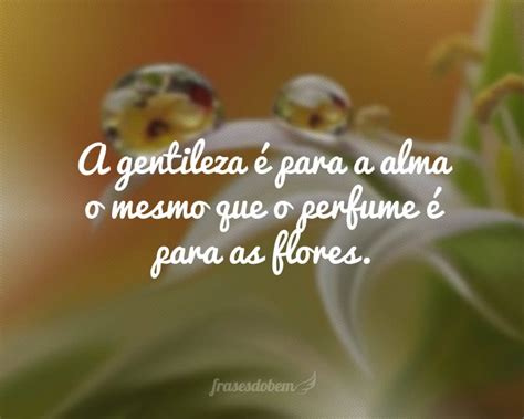 60 Frases De Gentileza Para Espalhar Amor Por Onde For