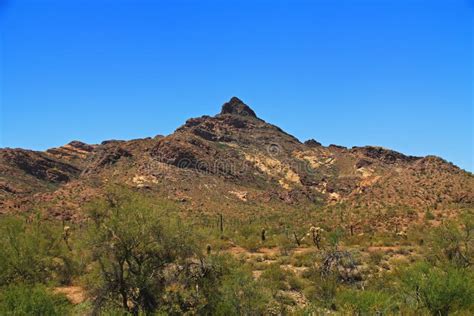 Pinkley Peak In Organ Pipe Cactus National Monument Stock Photo Image