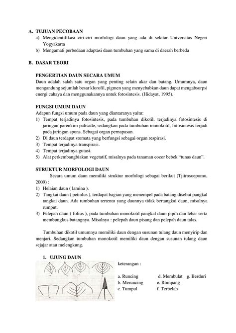 SOLUTION Laporan Praktikum Morfologi Daun Studypool