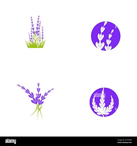 Lavender Flower Vector Icon Illustration Design Template Stock Vector