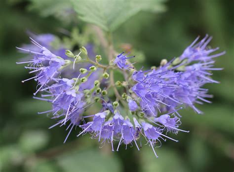 Untitled | msek | Flickr